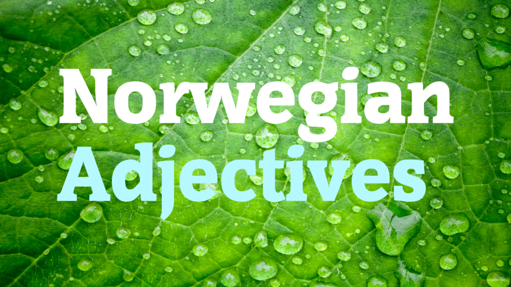 how-to-inflect-norwegian-adjectives-learn-norwegian-naturally