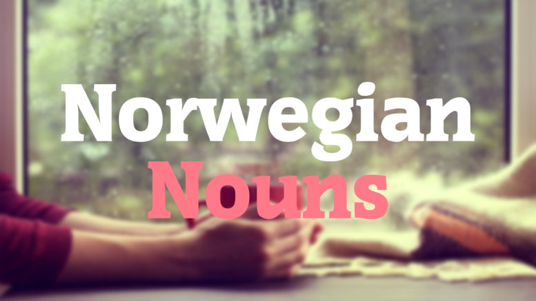 how-to-inflect-norwegian-nouns-learn-norwegian-naturally